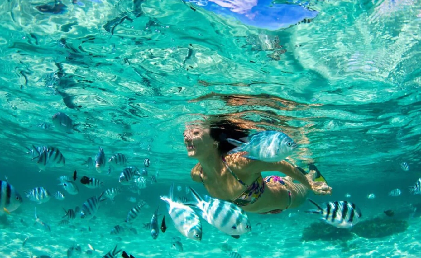 Swimming in Coral Island